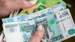 Пенсионерка из Андроповского округа передала мошеннице 224 тыс. рублей